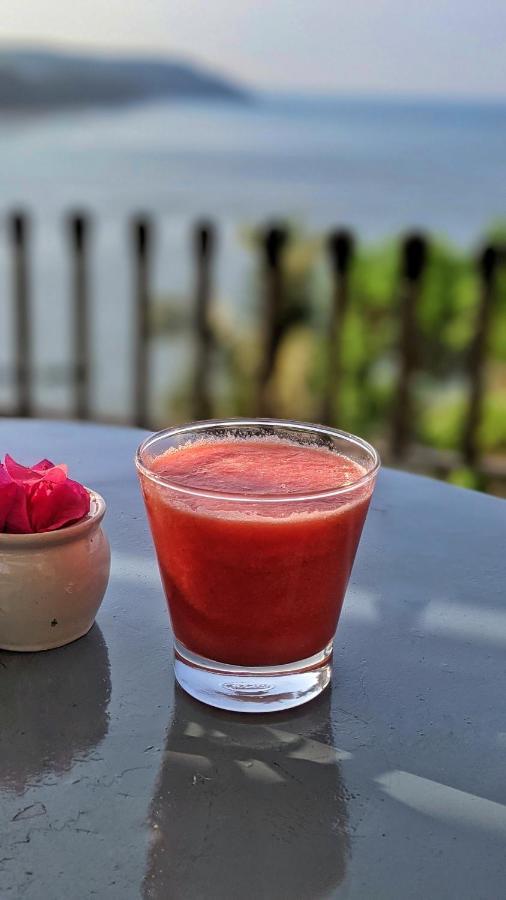 Fort Tiracol Heritage Hotel Arambol Ngoại thất bức ảnh